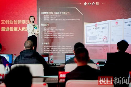 宜昌軍創企業閃耀“軍創杯”，躋身全省三強并賦能文化藝術交流